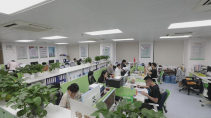 广东省监理公司 抓制度规范强主业经营，信息技术咨询服务赋能高质量发展