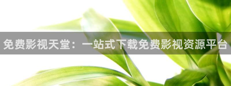 秋霞电影伦理影院