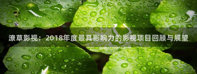 电车伦理影院