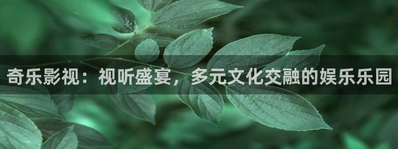 伦理影视在线观看