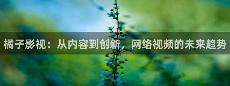 日本午夜伦理影片大全
