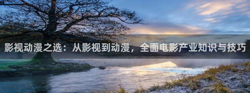 国产伦理影院：影视动漫之选：从影视到动漫，全面电影产业知识与技巧