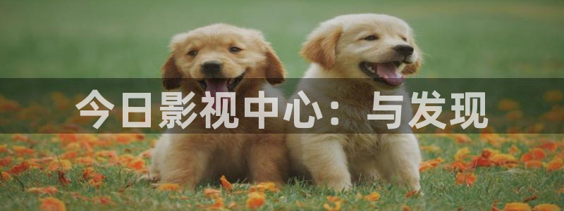 伦理影视在线看