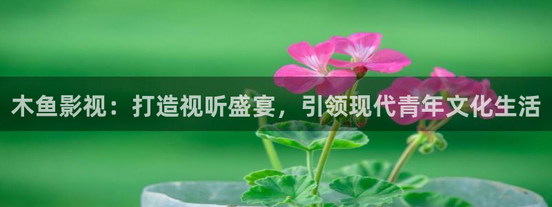 新神马伦理影院：木鱼影视：打造视听盛宴，引领现代青年文化生活