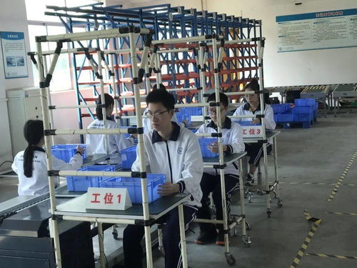 现代技能铸未来，服务社会育英才——走进江门市技师学院现代服务系信息技术咨询服务