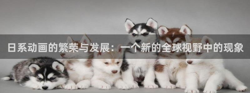 法国伦理视频