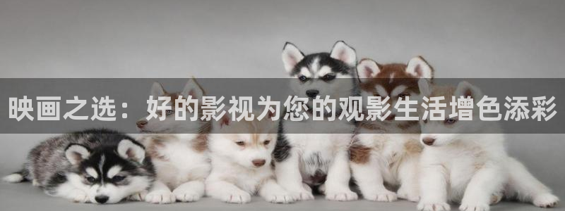99伦理视频