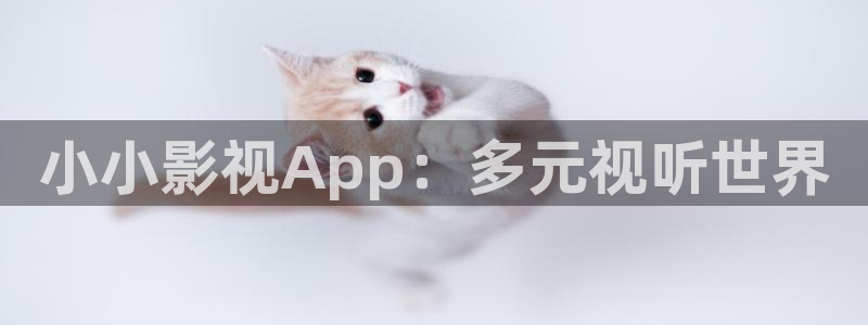 国产伦理影视