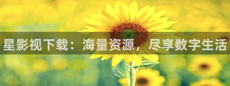 日本伦理影院在线观看