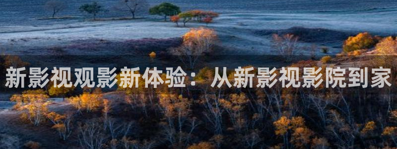 八哥伦理影院