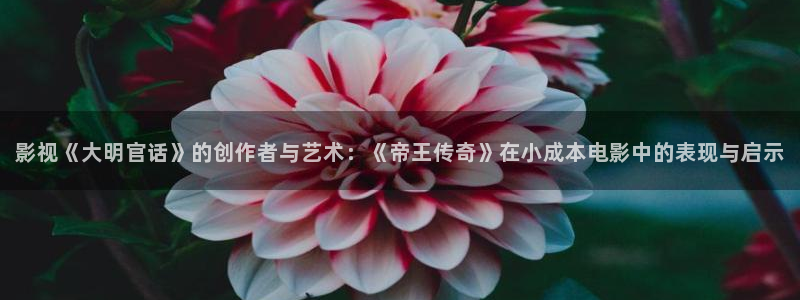 达达兔伦理影院：影视《大明官话》的创作者与艺术：《帝王传奇》在小成本电影中的表现与启示